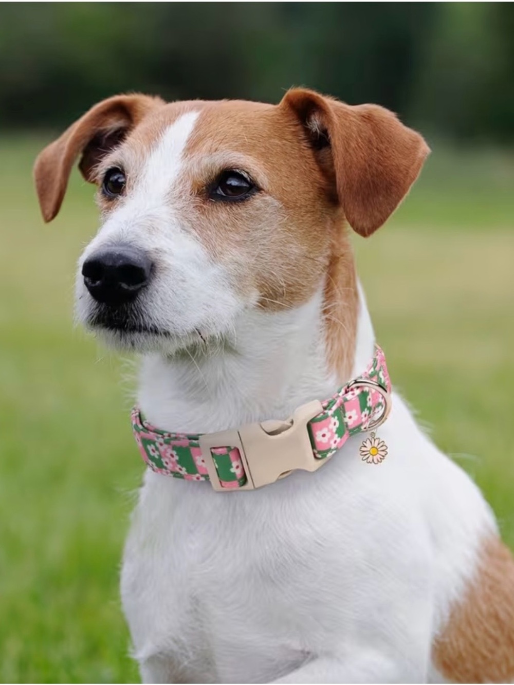 Pink & Green Floral Dog Collar. Size Medium. Adjustable, soft, lightweight. - Picture 6 of 6